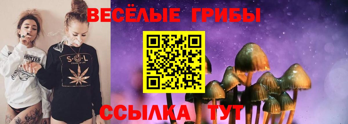Псилоцибиновые грибы Cubensis  Вход с VPN  Чайковский 