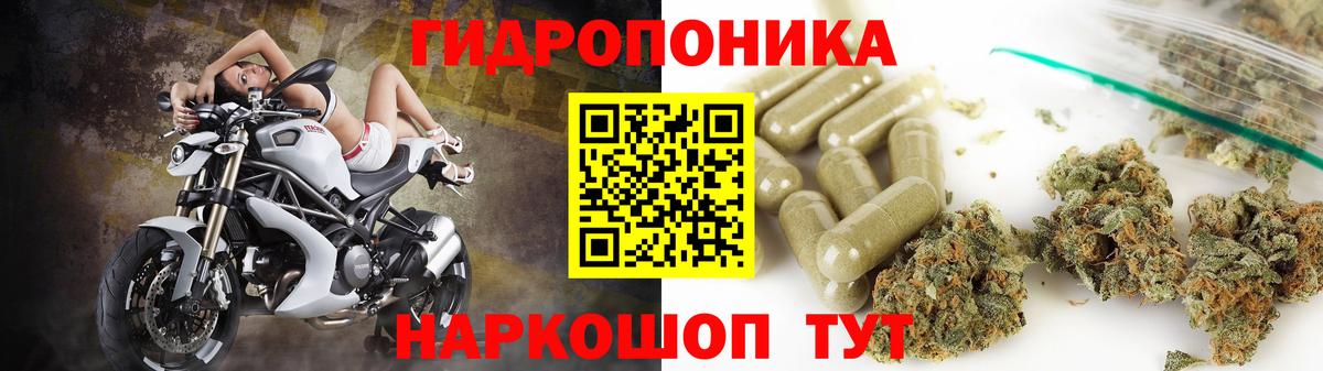 Марихуана сатива Чайковский